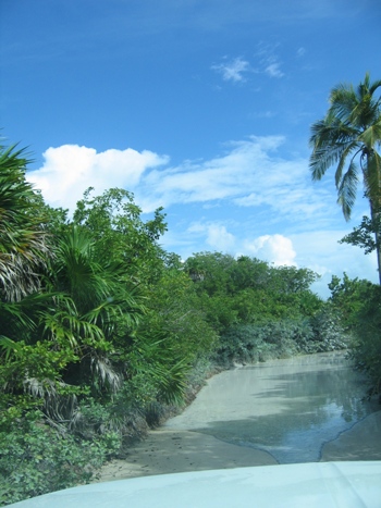 punta allen road