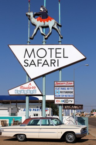 07-04-safari