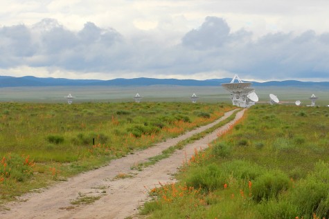 The Plains of San Agustin